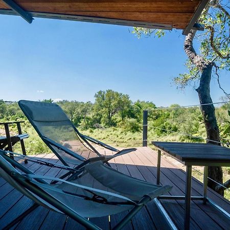 Greenfire Game Lodge Balule Game Reserve Eksteriør bilde