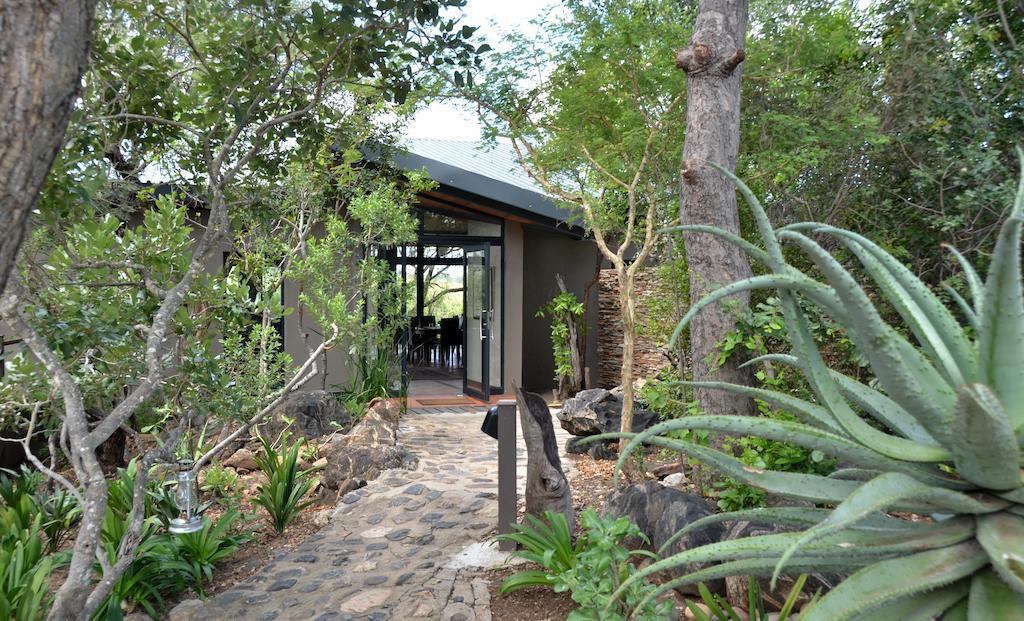 Greenfire Game Lodge Balule Game Reserve Eksteriør bilde