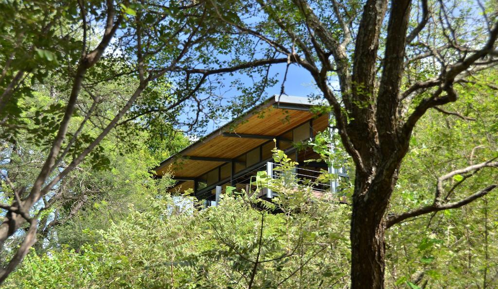 Greenfire Game Lodge Balule Game Reserve Eksteriør bilde