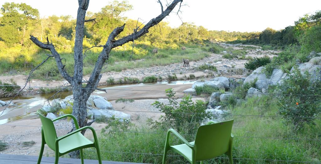 Greenfire Game Lodge Balule Game Reserve Eksteriør bilde