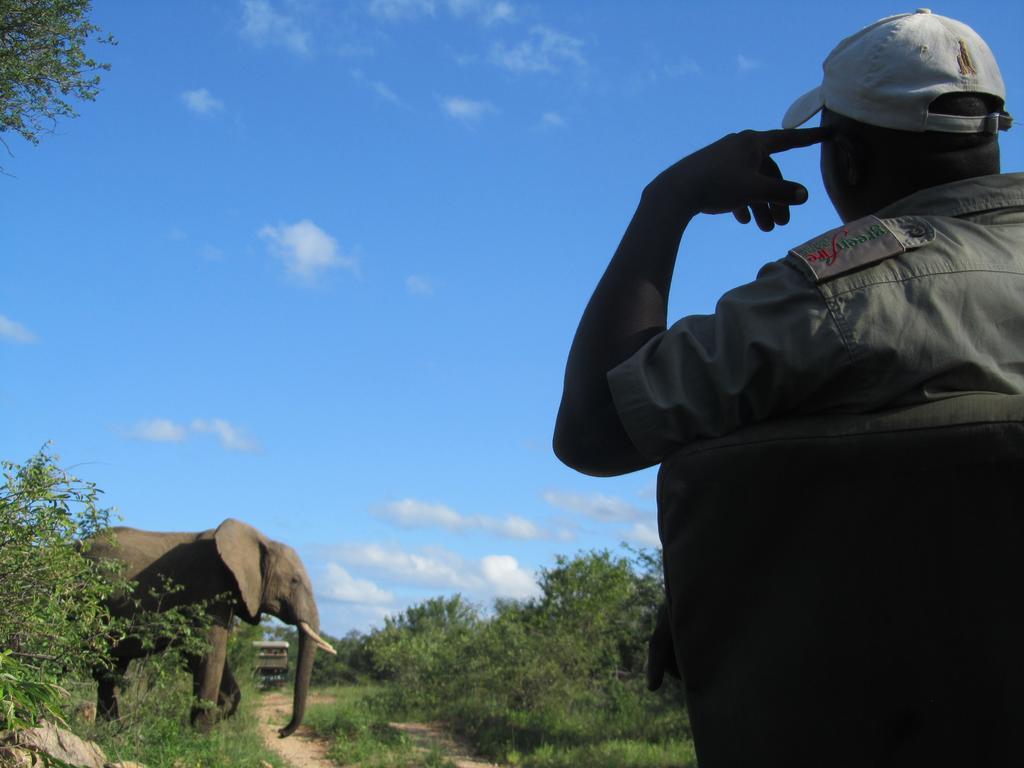 Greenfire Game Lodge Balule Game Reserve Eksteriør bilde