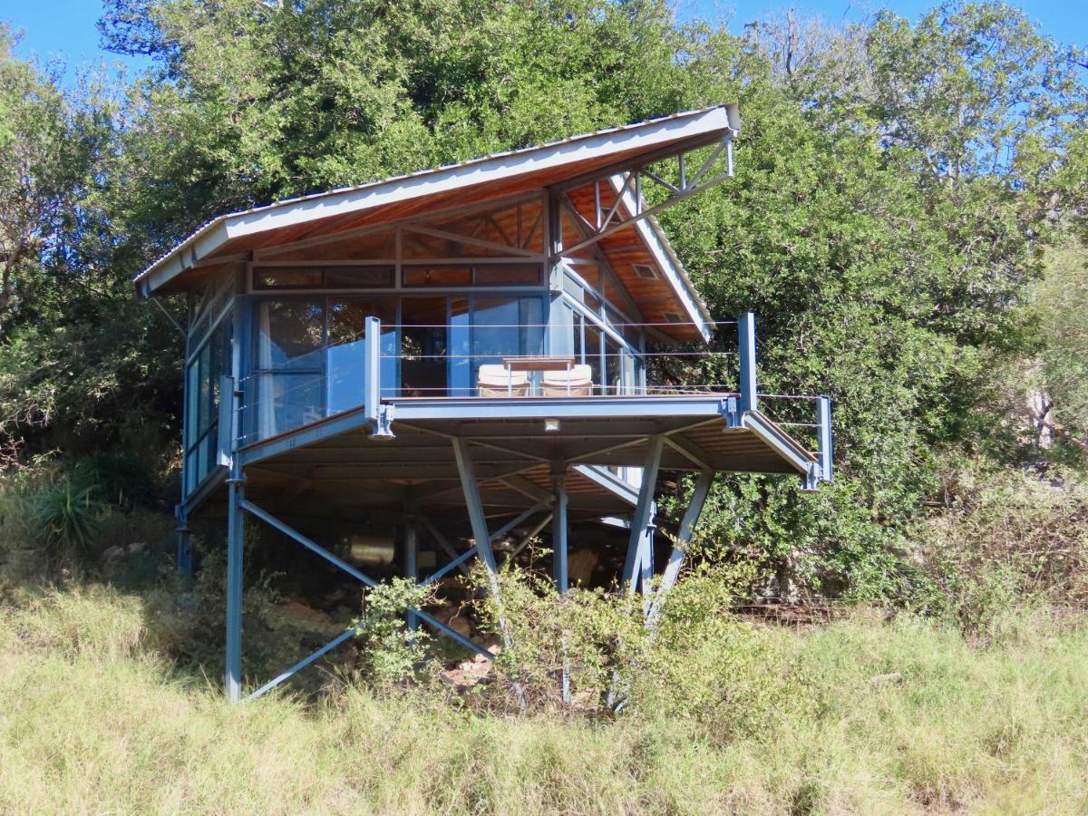 Greenfire Game Lodge Balule Game Reserve Eksteriør bilde