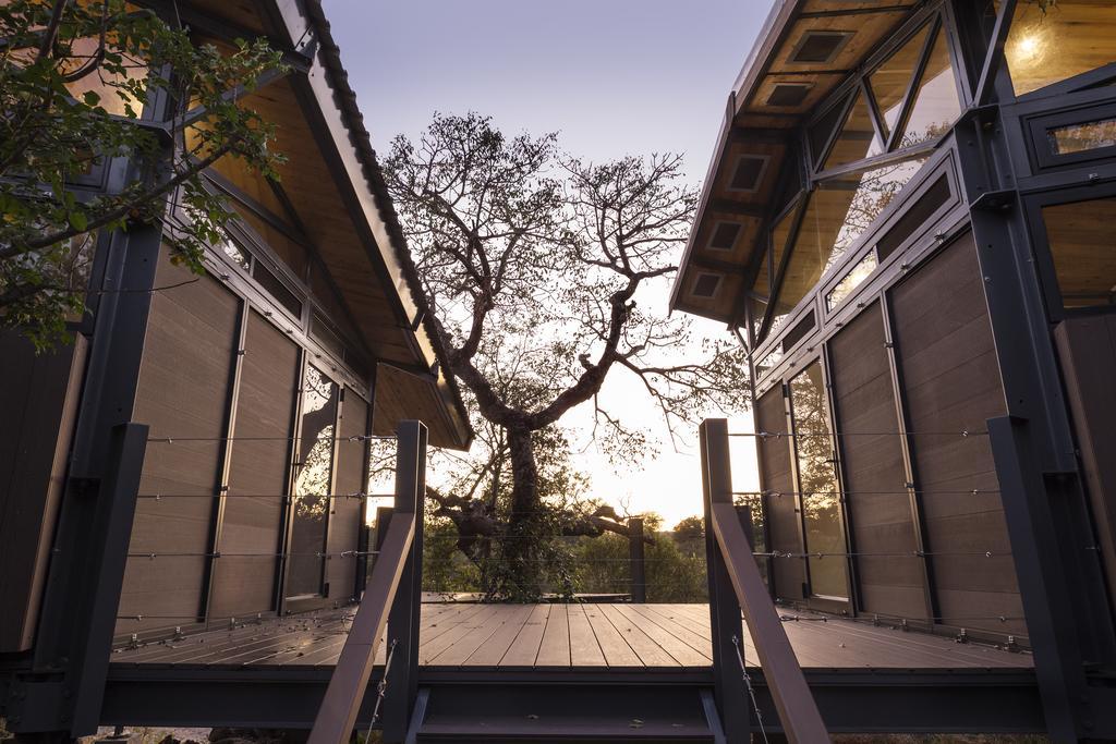 Greenfire Game Lodge Balule Game Reserve Rom bilde