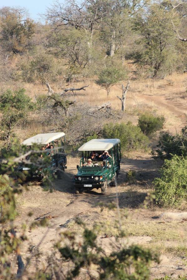 Greenfire Game Lodge Balule Game Reserve Eksteriør bilde
