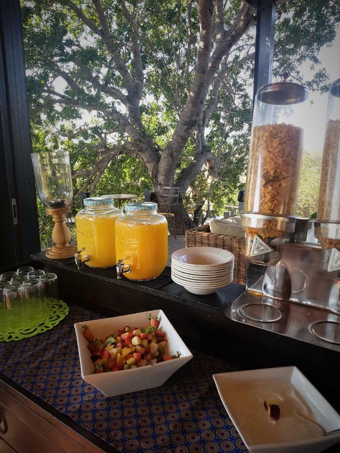Greenfire Game Lodge Balule Game Reserve Eksteriør bilde